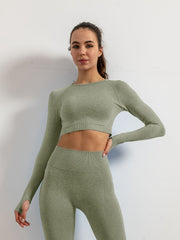 Seamless Yoga Long Sleeves Shirts Crop Top