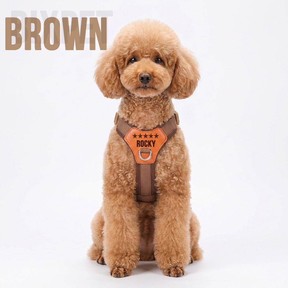 img_5202963