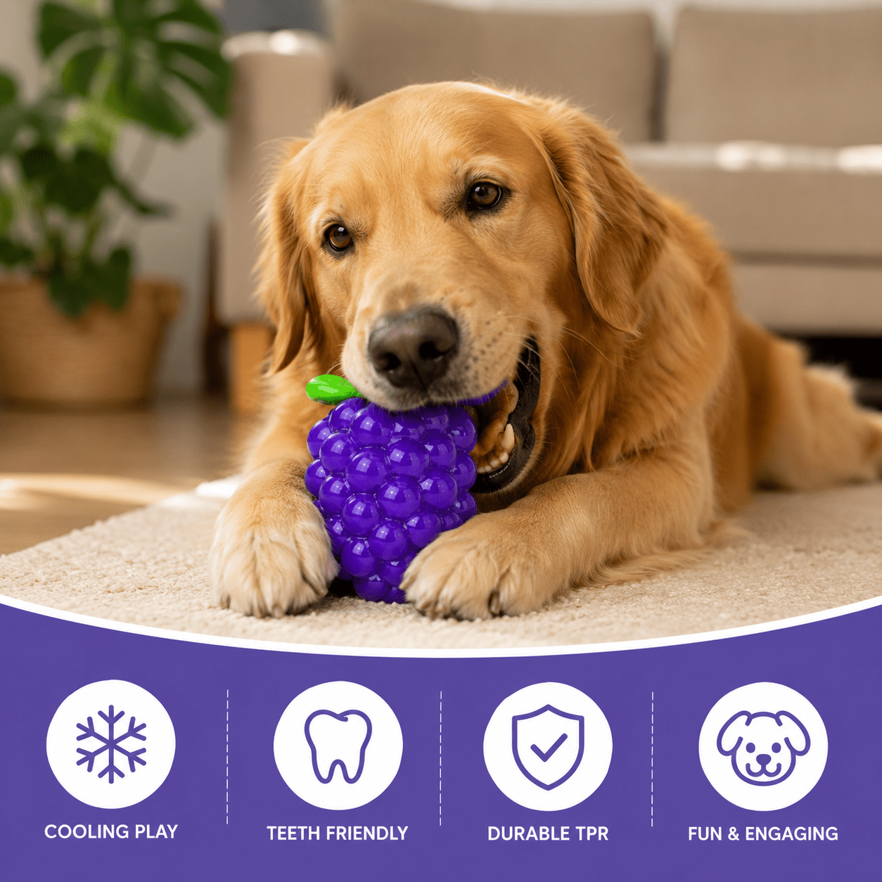 img_6354601