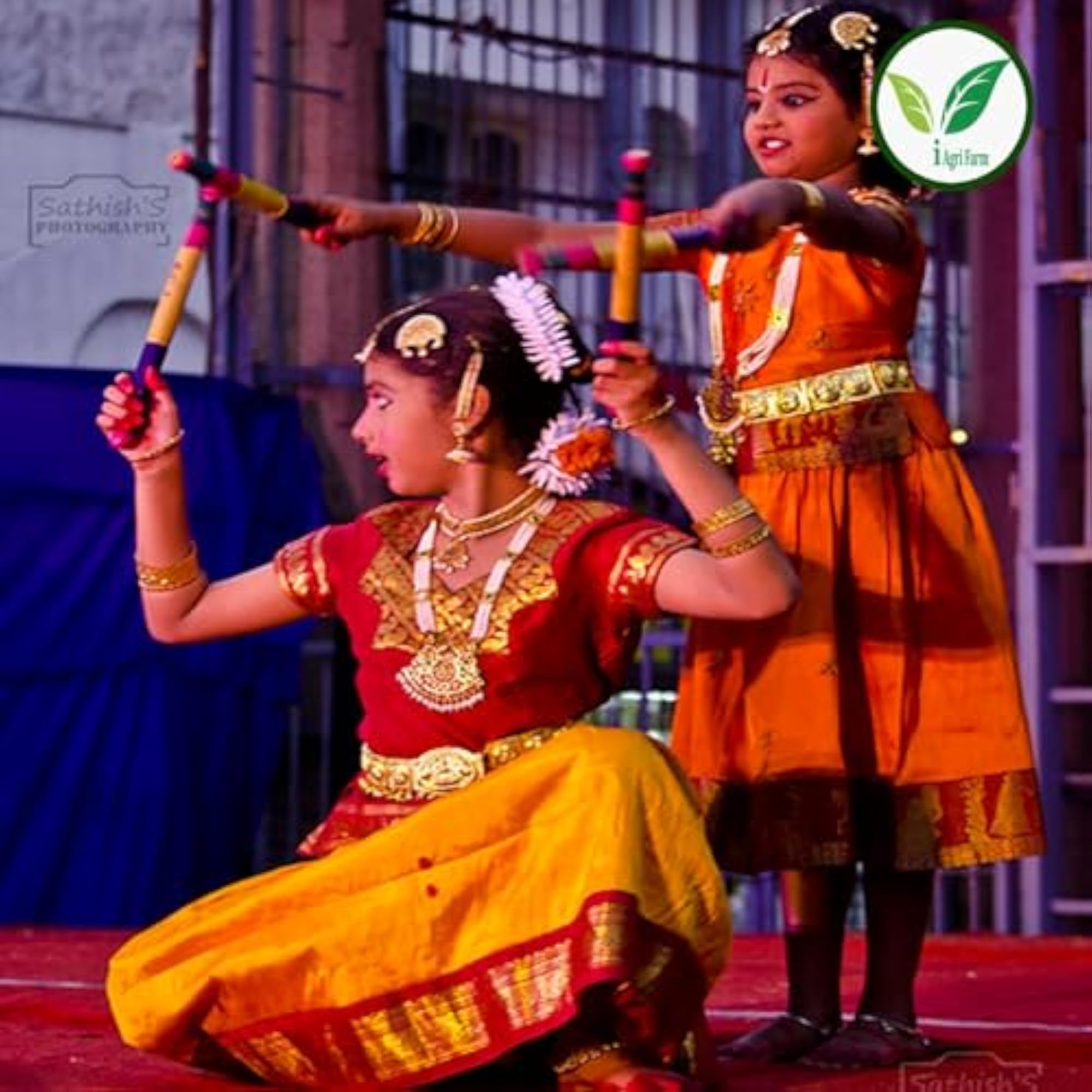 img_8179953