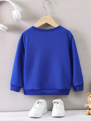 Boys Casual Bear Embroidered Pullover Sweatshirt
