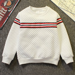 Boys Striped Textured Pullover Sweatshirt Crew Neck Tops
