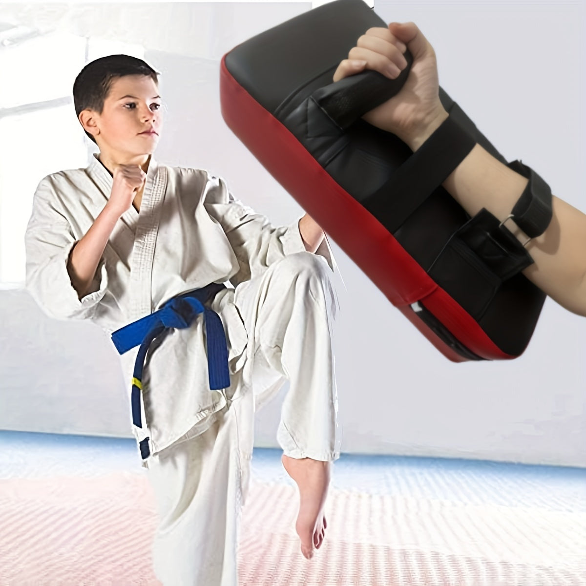 Taekwondo Boxing Pad for Training