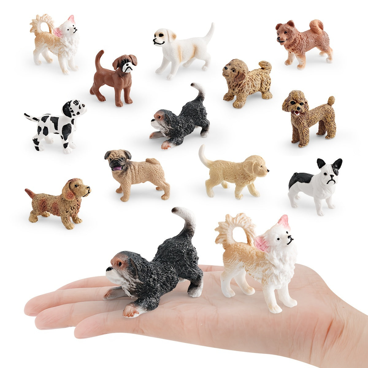 Dog Models Shiba Inu Chihuahua Bulldog Golden Retriever
