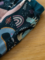 Baby Boys Dinosaur Print Set Sweatshirt Trousers Loungewear