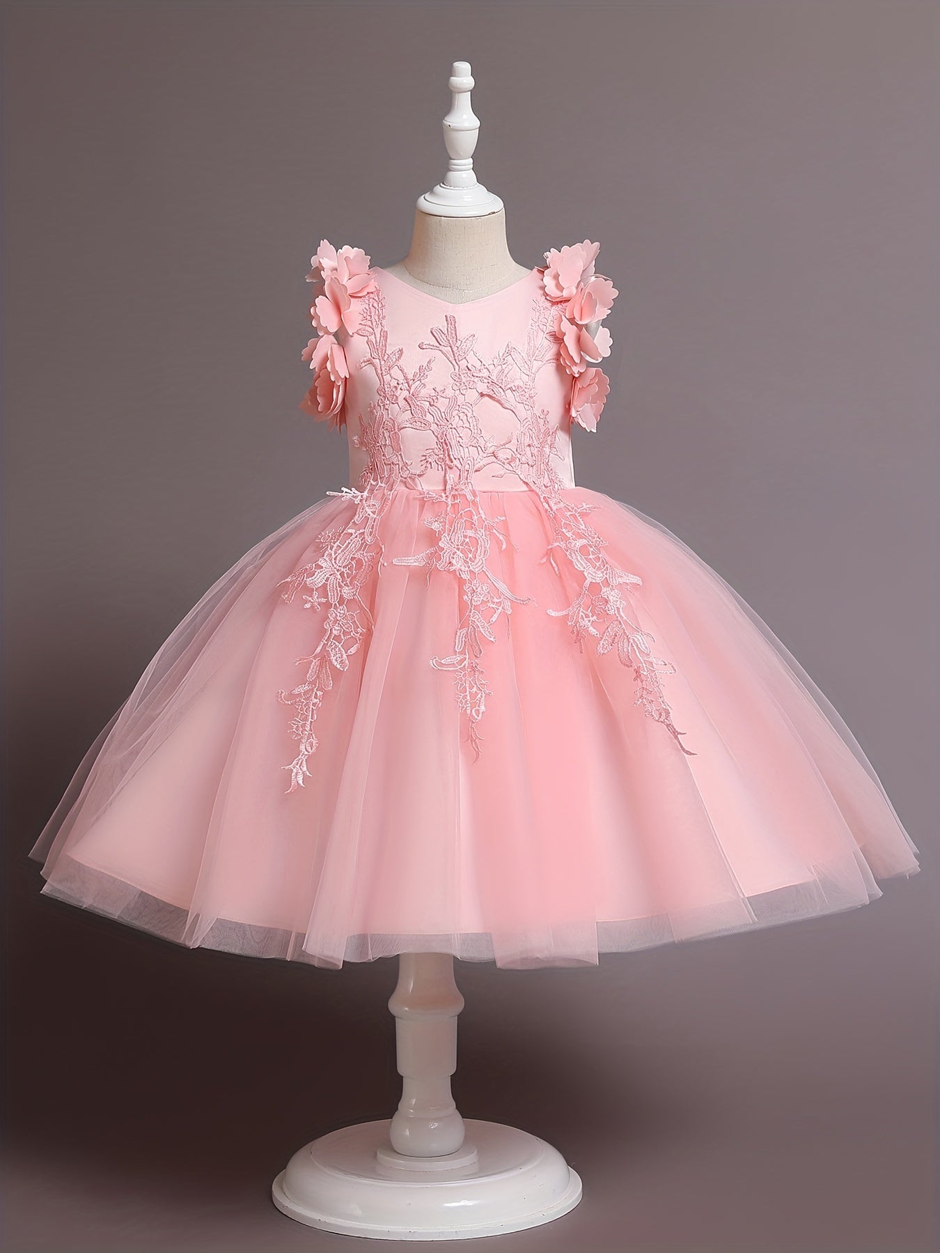 Flower Girl Lace Embroidery Dress Pageant Wedding Holiday Party Dresses