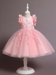 Flower Girl Lace Embroidery Dress Pageant Wedding Holiday Party Dresses