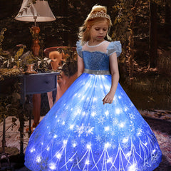 Princess LED Dress Sequin Puff Sleeve Tulle Costume