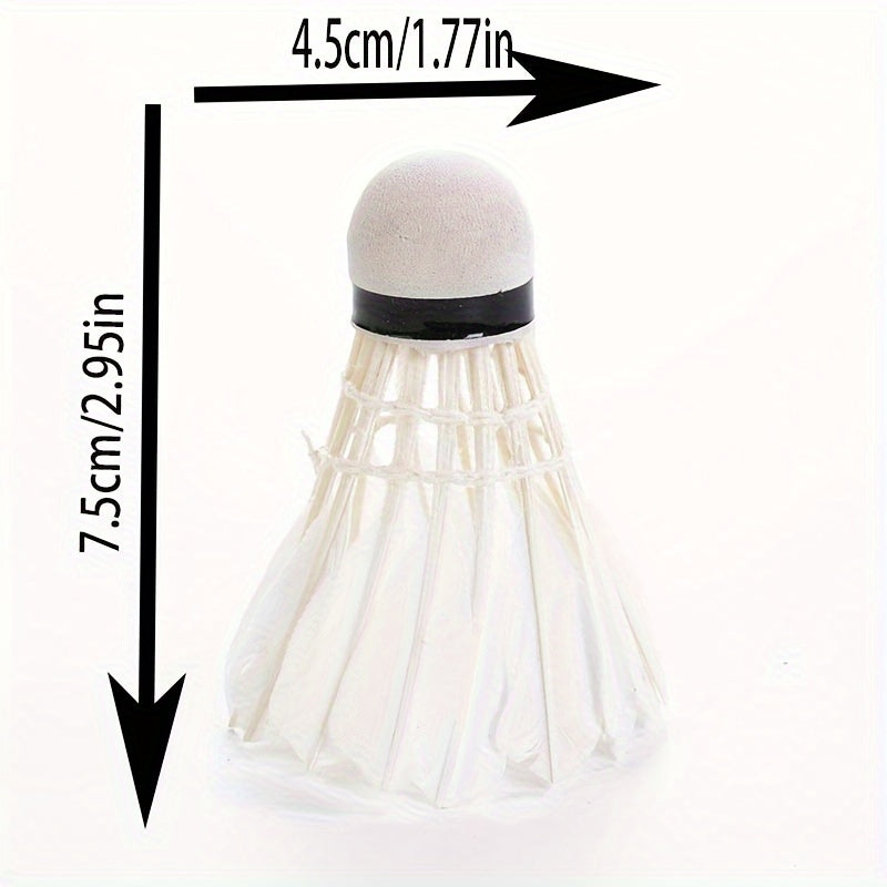 6pcs Training & Entertainment Badminton Shuttlecocks