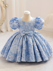 Girls' Princess Dress With Puff Sleeve and Bow Front Tutu Gown