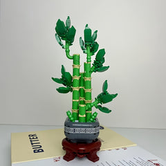 Lucky Bamboo Building Blocks for Creative Home Decor