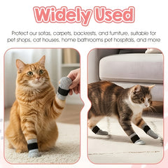 img_5522895