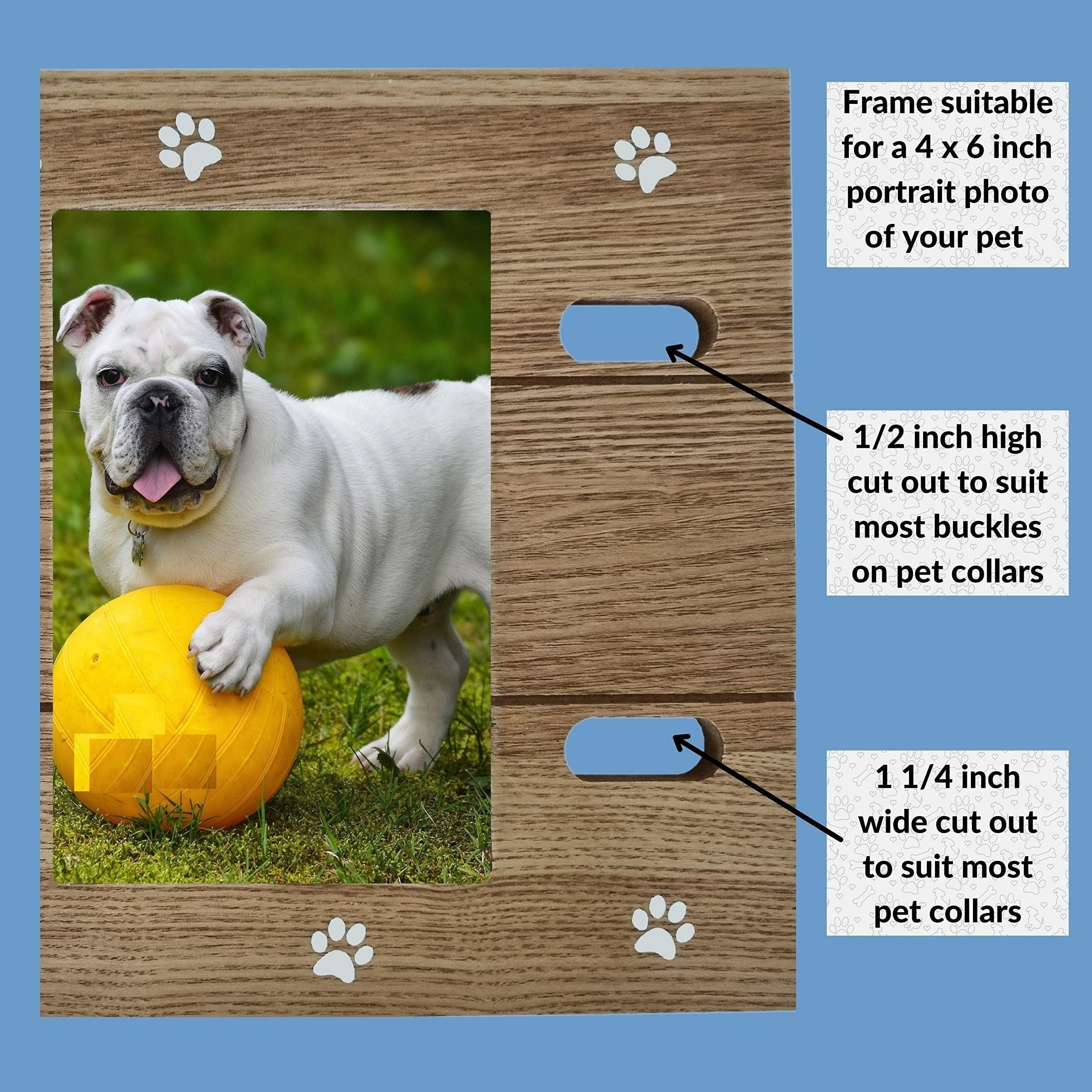 Furry Perfect Pet Memorial Frame with Collar
