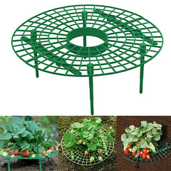 Strawberry Plant Support Stand for Growing Racks and Frames