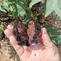 Plant Rooting Device Air Layering Pods Grow Box for Propagation & Root Control