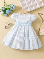 Flutter Sleeve Zip Up Belted Puffy Dress Toddler Baby Girls