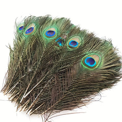 15pcs Artificial Peacock Feather 10-12 Inches DIY Handicra