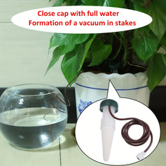 10 Pack Plant Watering Stakes Indoor/Outdoor Automatic Drip Irrigation