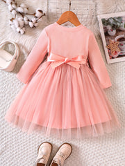 Girls Flowers Embroidered Belt Mesh Tutu Dress