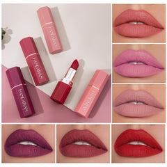 Matte Velvet Finish Long Lasting Waterproof Lipstick