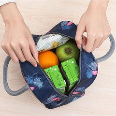 Insulated Lunch Bag for School Office Picnic Fresh Delicious Food All Day