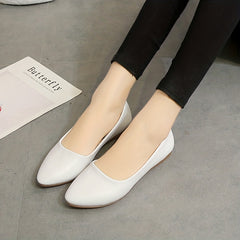 Women's Pointed Toe Ballet Flats Soft Sole Slip On Walking Shoes
