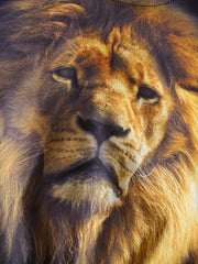 Lion Print Boys Casual Pullover Sweatshirt Crew Neck Tops