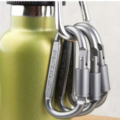 D Buckle Aluminum Alloy Key Chain for Travel and Camping