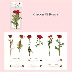 12pcs 3D Red Rose & Tulip Waterproof Stickers Set for Scrapbooking & Journaling