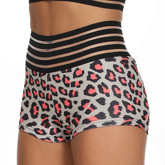 Leopard Print High Waisted Yoga Shorts