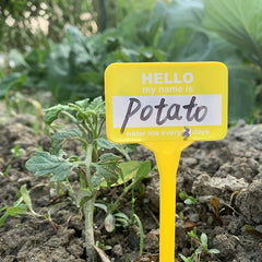 10pcs T Type Garden Plant Labels Track Your Plants
