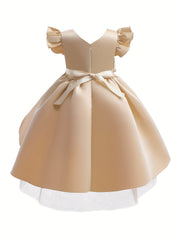 Toddler Girls Ruffle Trim Princess Dress Gown Three dimensional Flowers Embroide