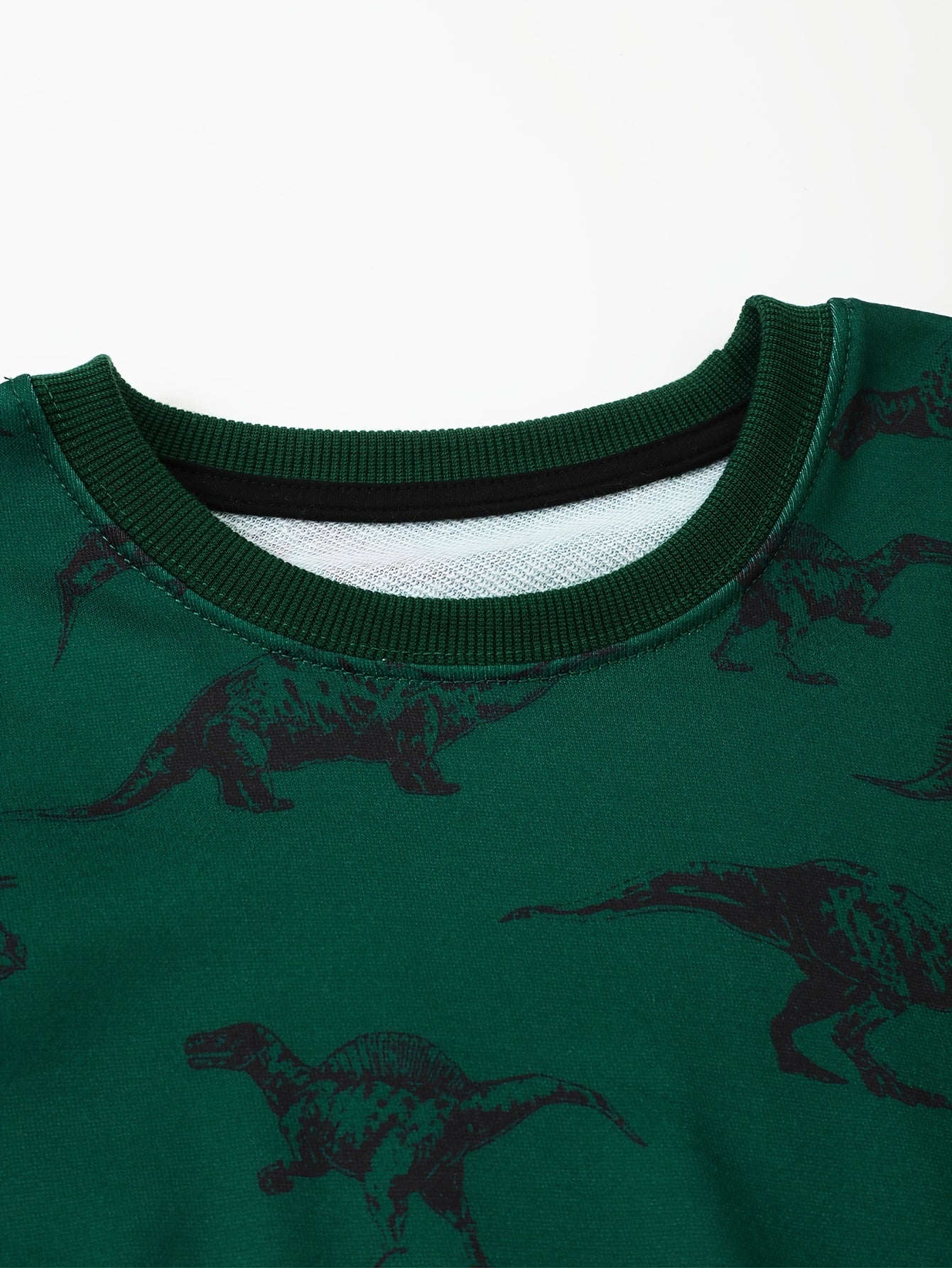 Boys Dinosaur Pullover Sweatshirt Round Neck Long Sleeve Warm Top