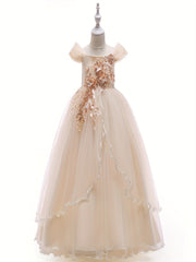 Girls Puffy Princess Dress Sequin Bead Flowers Embroidery Mesh Tutu