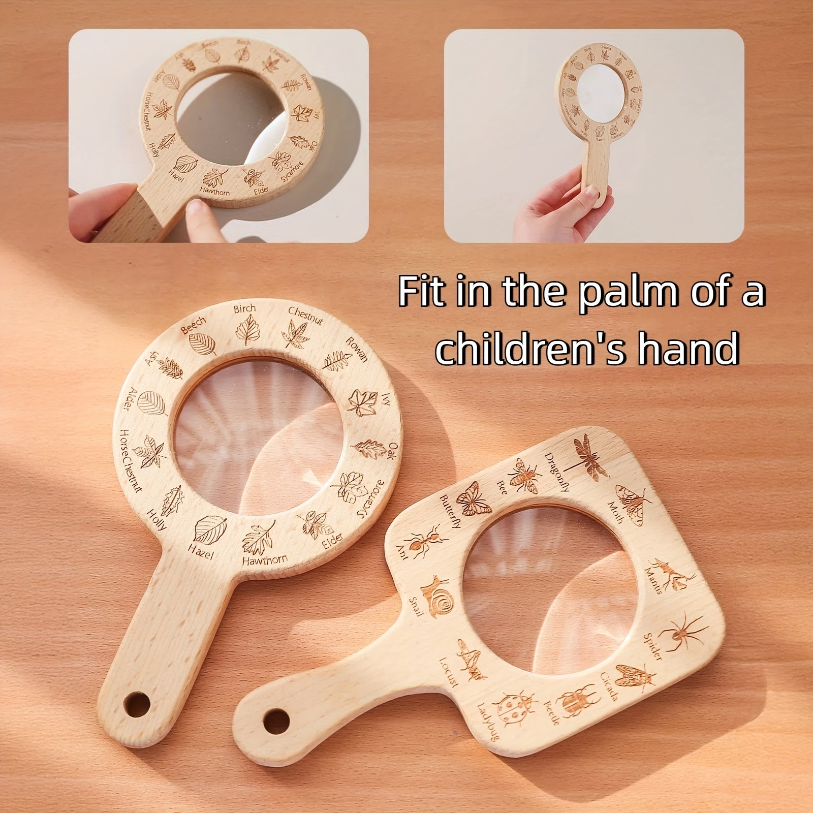 Outdoor Adventure Magnifying Toy for Insects & Leaves