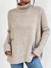 Solid Turtle Neck Pullover Casual Batwing Sleeve Sweater