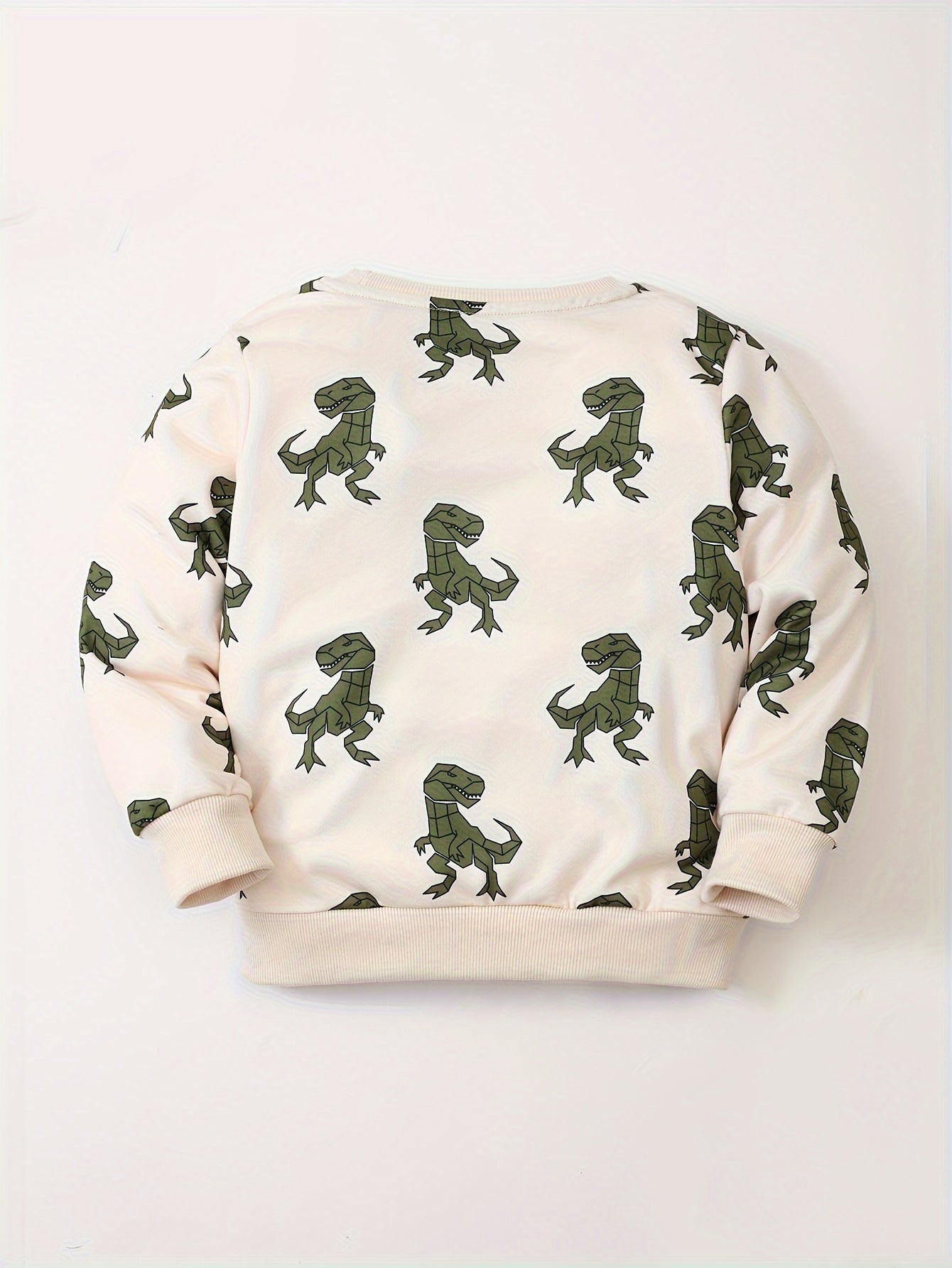 Dinosaur Pattern Sweatshirt Boys Long Sleeve Pullover Top