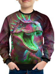 Dragon Eagle Dinosaur Sweatshirt for Kids Long Sleeve Top Boy's Clothes