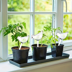 3pcs Bird Shape Plant Waterer Bulbs - Self Watering Globes