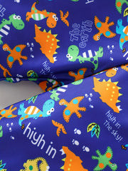 Boys Dinosaur Print Swimwear Set for Beach Vacation