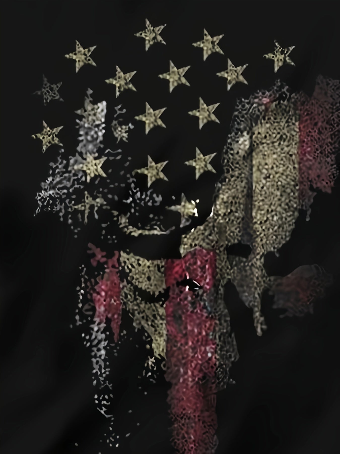 Men's Flag Print Tee Shirt for Summer