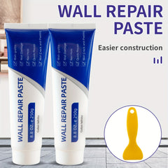 Waterproof Wall Repair Paste 250g