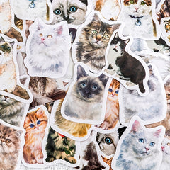 46 Cat Pattern Stickers Water Bottles Laptop Scrapbook Luggage