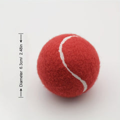 Portable High Elasticity Rubber Tennis Ball Set