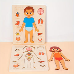 Wooden Human Body Puzzle Toy Educational Gift for Kids