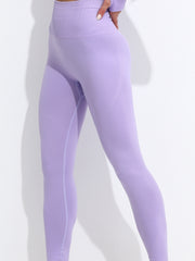 Seamless Solid Yoga Tight Pants Women's Activewear