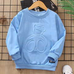Boys 3D Bear Graphic Sweatshirt Top