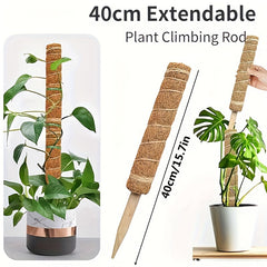 1pc Green Carrot Plant Climbing Pole Palm Rattan St