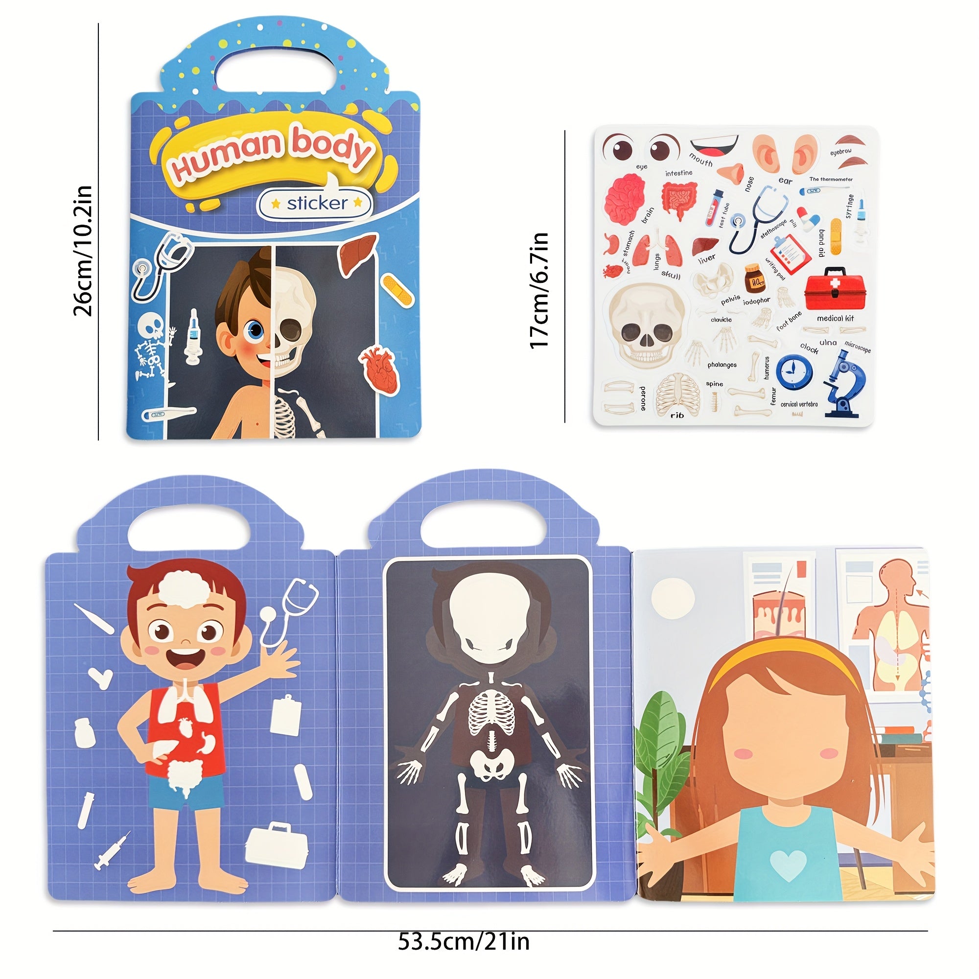 Jelly Stickers Human Body & Skeleton Teaching Book for Kids 3+