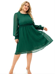 Polka Dot Mesh Sleeve Midi Dress